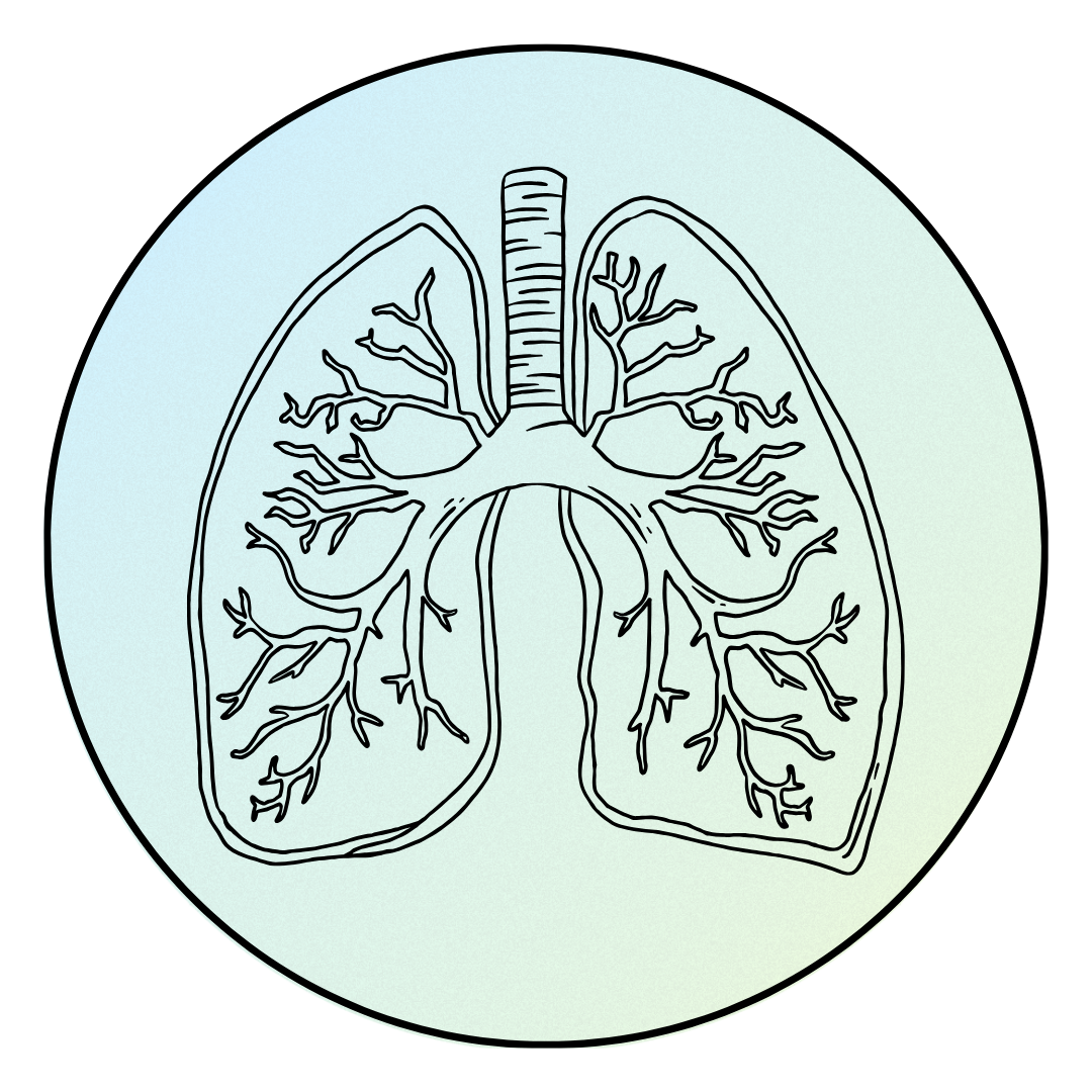 Lungs Care